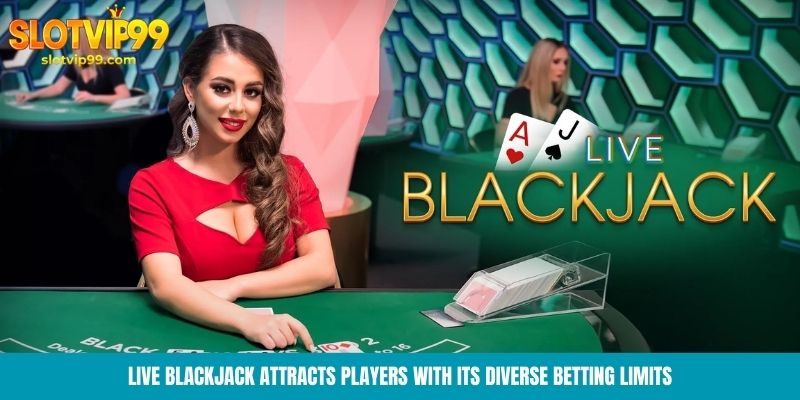 Live Blackjack attracts players with its diverse betting limits