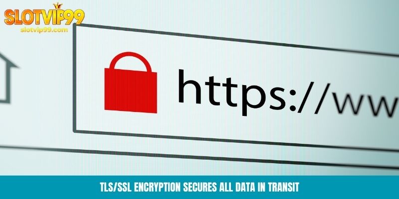 TLS/SSL encryption secures all data in transit