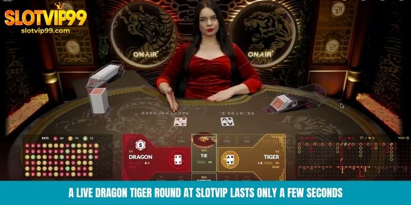 A Live Dragon Tiger round at Slotvip lasts only a few seconds