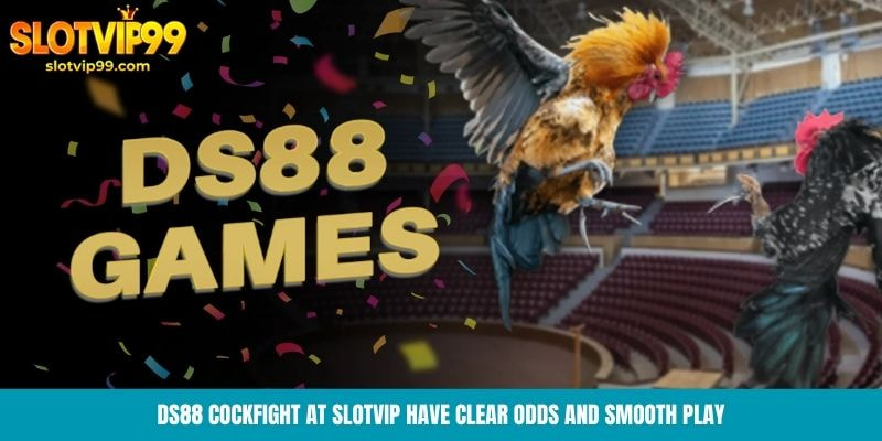 DS88 Cockfight at Slotvip have clear odds and smooth play