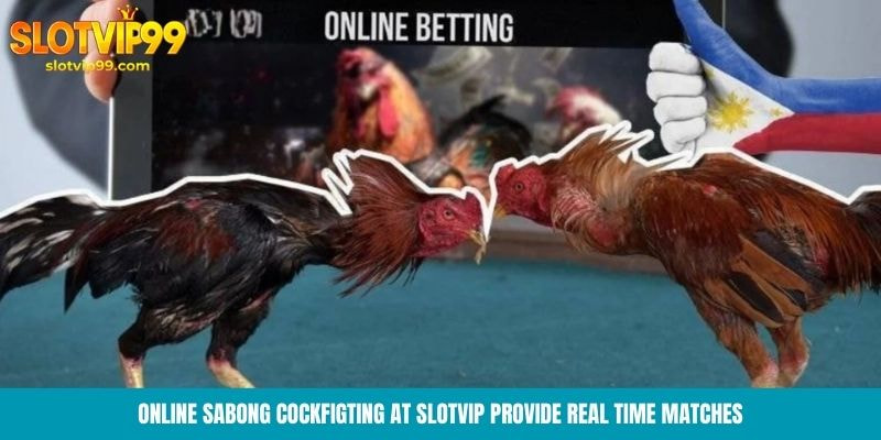 Online sabong cockfigting at Slotvip provide real-time matches