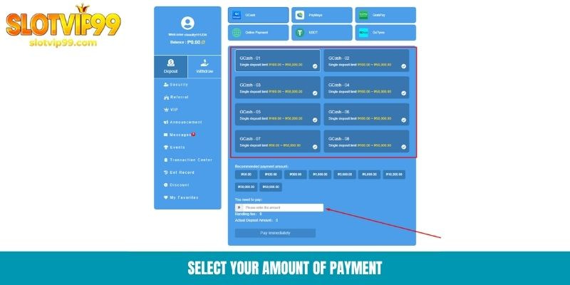Select your amount of payment