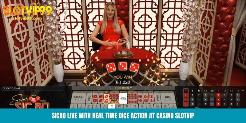 Sicbo Live with real time dice action at Casino Slotvip