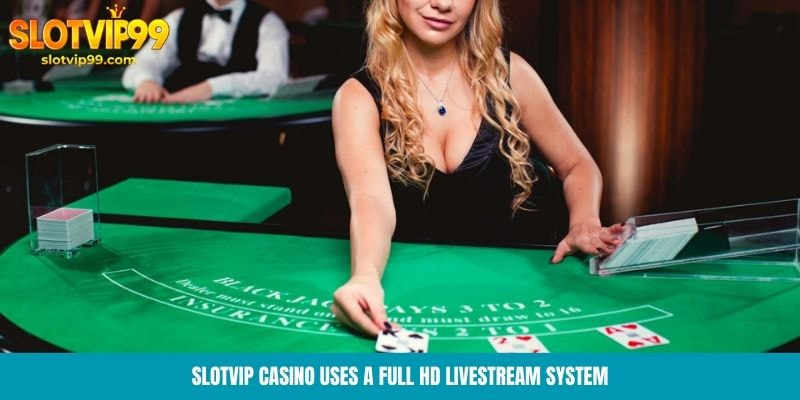 Slotvip Casino uses a full HD livestream system