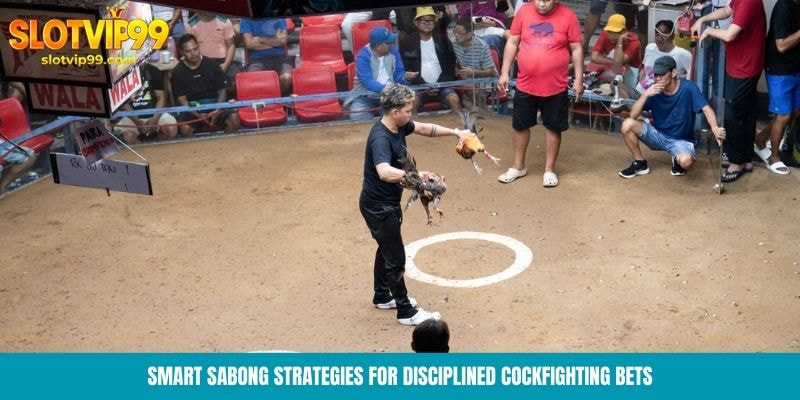 Smart sabong strategies for disciplined cockfighting bets