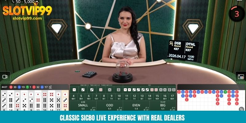 Classic sicbo live experience with real dealers 