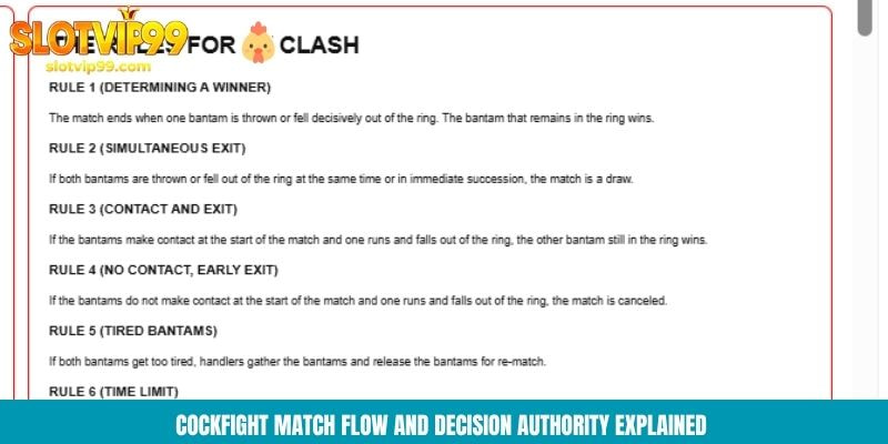 Cockfight match flow and decision authority explained