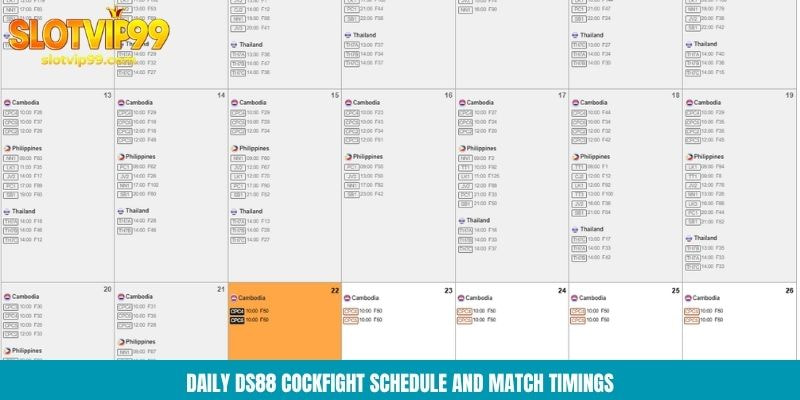 Daily DS88 cockfight schedule and match timings