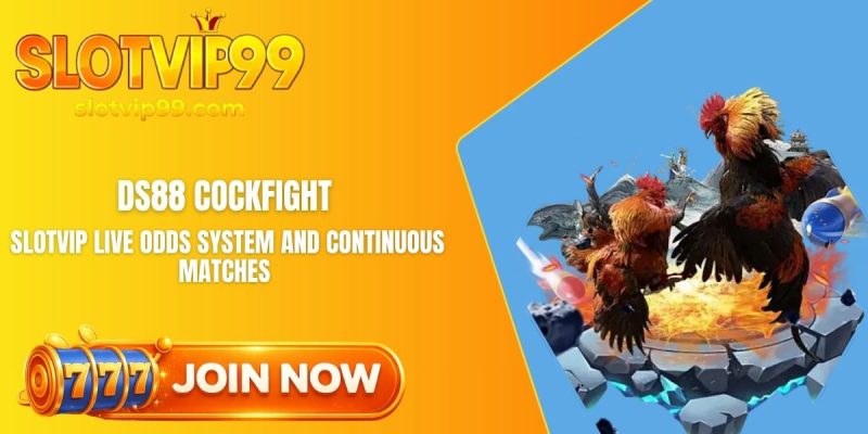 DS88 Cockfight