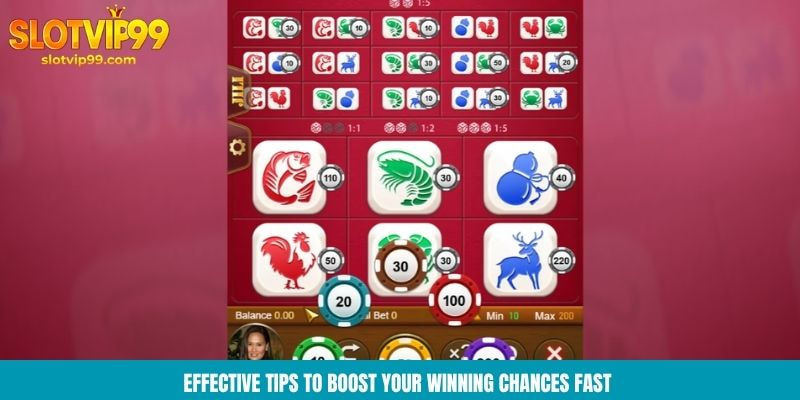 Effective tips to boost your winning chances fast