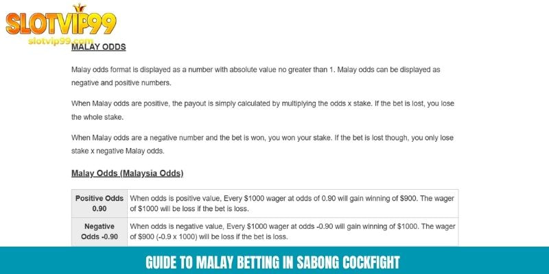 Guide to malay betting in sabong cockfight