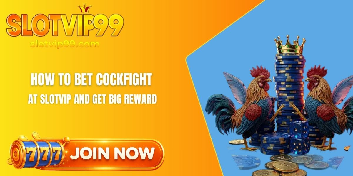 how to bet Cockfight