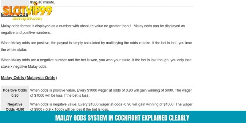 Malay odds system in cockfight explained clearly