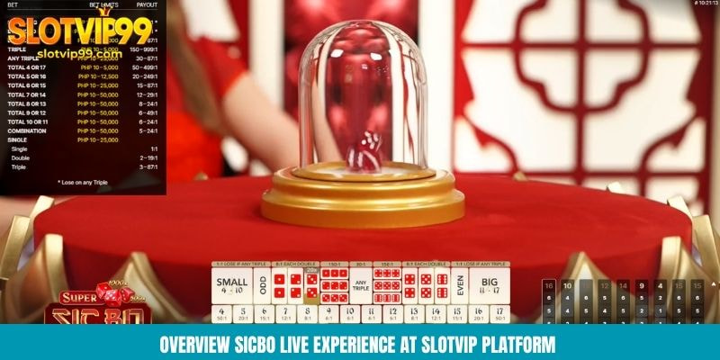 Roulette Slotvip - Casino Wheel Game With 35x Wins Overview sicbo live experience at Slotvip platform