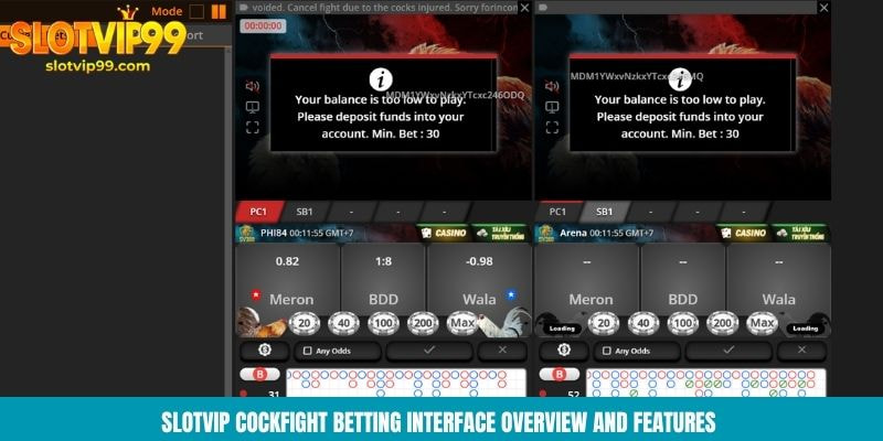 Slotvip Cockfight betting interface overview and features