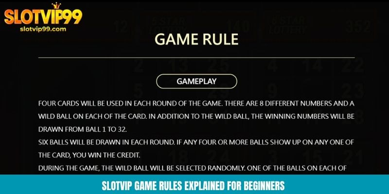 Slotvip game rules explained for beginners