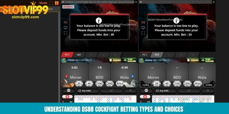Understanding DS88 cockfight betting types and choices