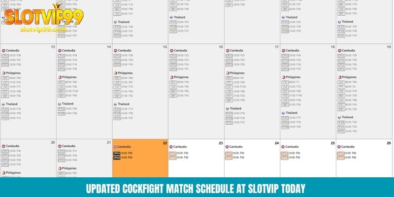 Updated cockfight match schedule at Slotvip today