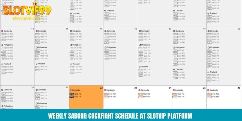 Weekly sabong cockfight schedule at Slotvip platform