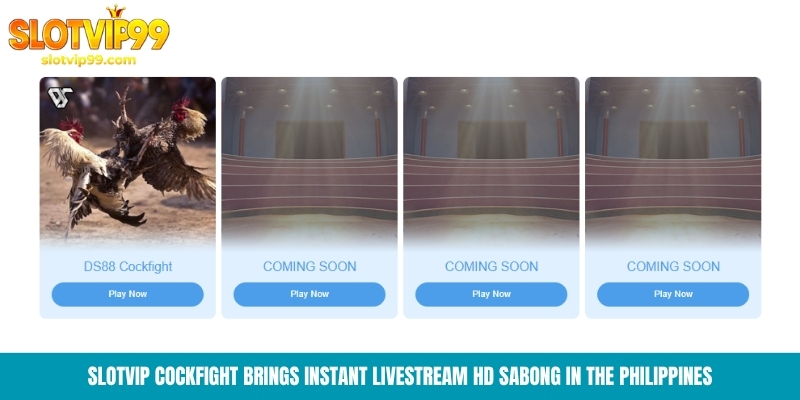 Slotvip Slotvip Cockfight brings instant livestream HD Sabong in the Philippines